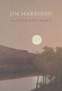 Cover image for Saving Daylight