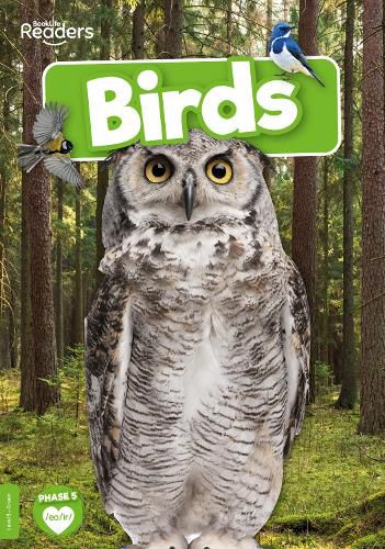 Cover image for Birds