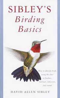 Cover image for Sibley's Birding Basics