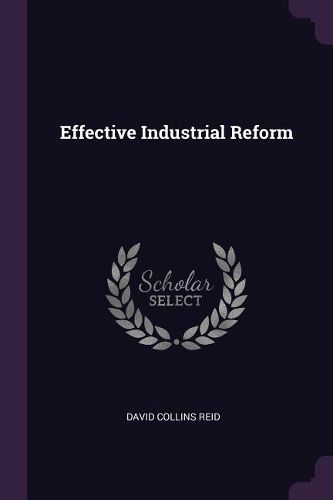 Cover image for Effective Industrial Reform