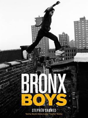 Cover image for Bronx Boys