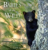 Cover image for Babies of the Wild