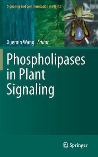 Cover image for Phospholipases in Plant Signaling