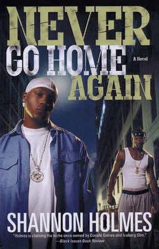 Cover image for Never Go Home Again