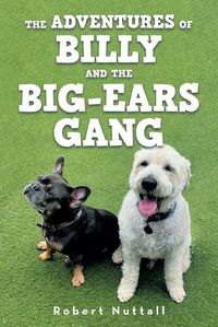 Cover image for The adventures of Billy and the Big-ears gang