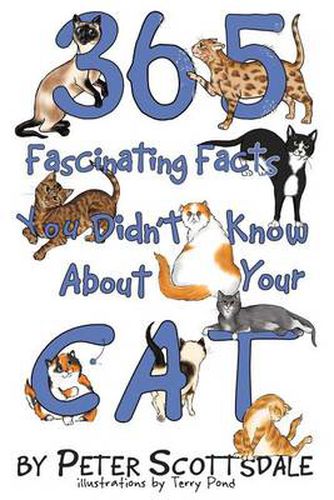 Cover image for 365 Fascinating Facts You Didn't Know About Your Cat