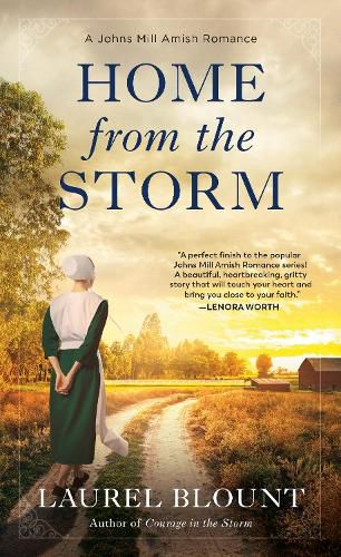 Cover image for Home from the Storm