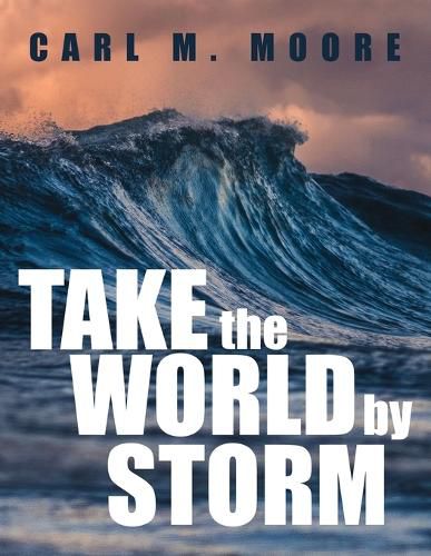 Cover image for Take the World by Storm