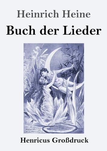 Cover image for Buch der Lieder (Grossdruck)