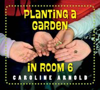 Cover image for Planting a Garden in Room 6
