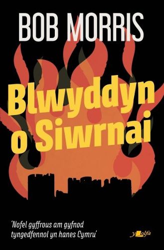 Cover image for Blwyddyn o Siwrnai