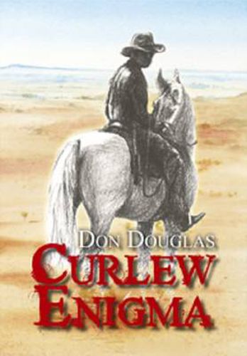 Cover image for Curlew Enigma