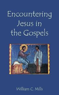 Cover image for Encountering Jesus in the Gospels