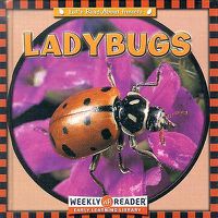 Cover image for Ladybugs