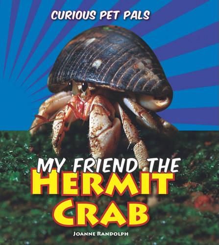 My Friend the Hermit Crab