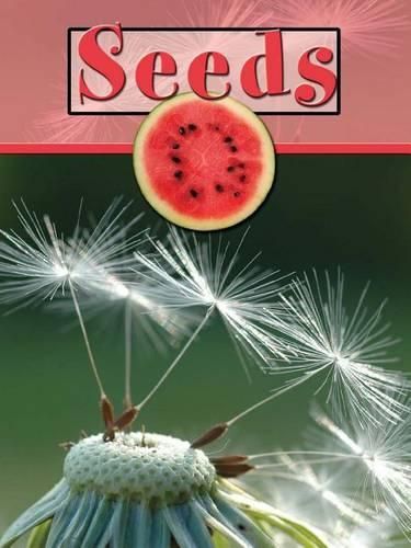 Cover image for Seeds