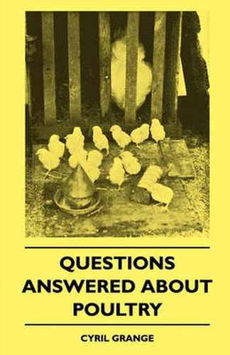 Cover image for Questions Answered About Poultry