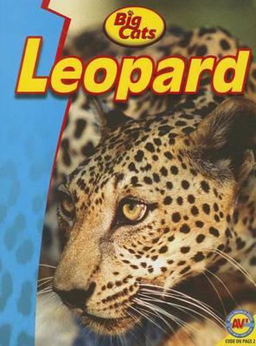 Leopard