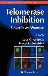 Cover image for Telomerase Inhibition: Strategies and Protocols