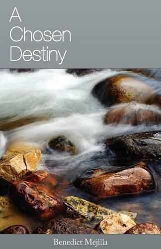 Cover image for A Chosen Destiny