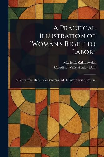 Cover image for A Practical Illustration of "Woman's Right to Labor"