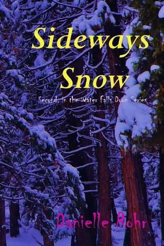 Cover image for Sideways Snow