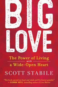 Cover image for Big Love