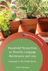 Cover image for Household Perspectives on Minority Language Maintenance and Loss