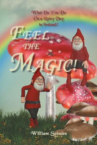 Cover image for Feel the Magic!: What Do You Do On a Rainy Day in Ireland?