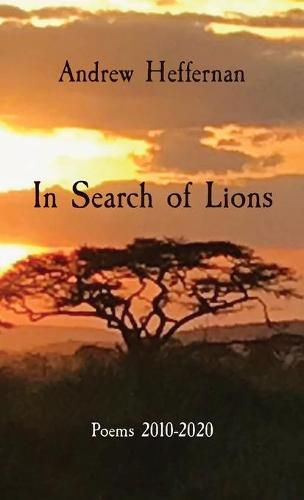 Cover image for In Search of Lions: Poems 2010-2020