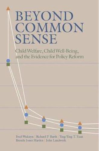 Cover image for Beyond Common Sense: Child Welfare, Child Well-Being, and the Evidence for Policy Reform