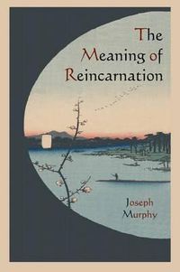 Cover image for The Meaning of Reincarnation