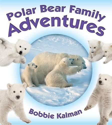 Cover image for Polar Bear Family Adventures