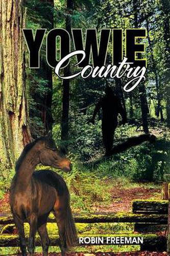 Cover image for Yowie Country