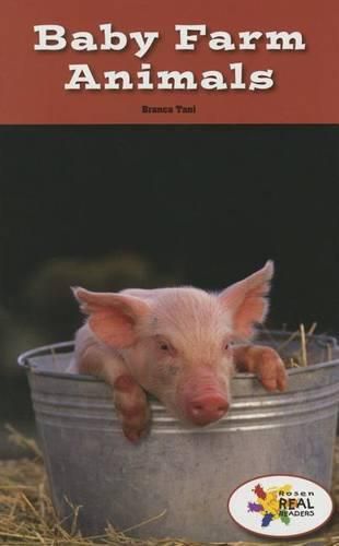 Cover image for Baby Farm Animals