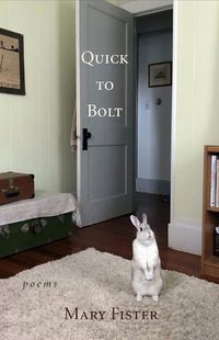 Cover image for Quick to Bolt