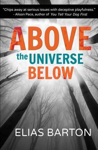 Cover image for Above the Universe Below