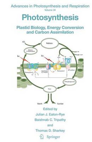 Photosynthesis: Plastid Biology, Energy Conversion and Carbon Assimilation