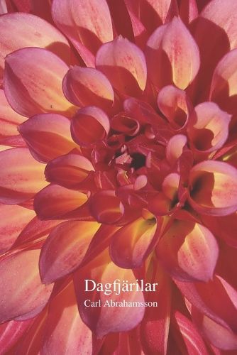 Cover image for Dagfjaerilar