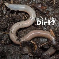 Cover image for Whats in the Dirt?