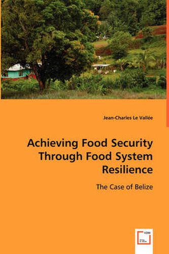 Cover image for Achieving Food Security Through Food System Resilience