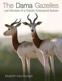 Cover image for The Dama Gazelles: Last Members of a Critically Endangered Species