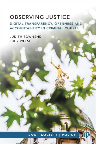 Cover image for Observing Justice