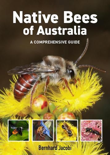 Cover image for Native Bees of Australia
