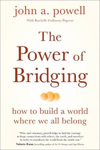 Cover image for The Power of Bridging