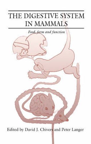 Cover image for The Digestive System in Mammals: Food Form and Function