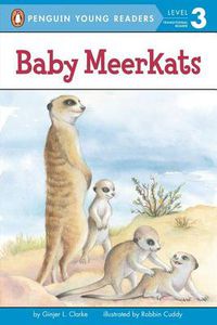 Cover image for Baby Meerkats
