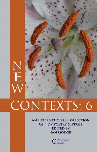 Cover image for New Contexts: 6