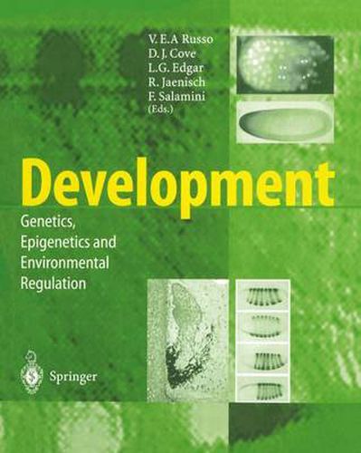 Cover image for Development: Genetics, Epigenetics and Environmental Regulation