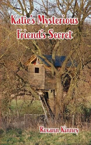 Cover image for Katie's Mysterious Friend's Secret